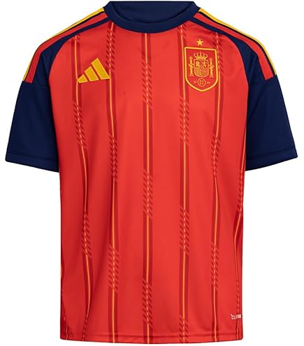 Amazon.co.jp: フェルナンドトーレス 直筆サイン入りスペイン代表